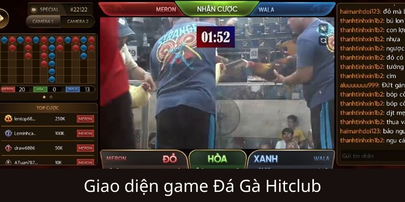 Các câu hỏi thường gặp khi theo dõi đá gà live hitclub