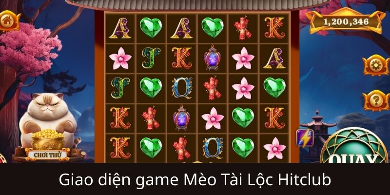 Vài nét về mèo tài lộc Hitclub